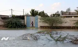 موج‌سواری در خیابان‌های بندرعباس پس از سیل سوژه شد