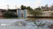 موج‌سواری در خیابان‌های بندرعباس پس از سیل سوژه شد