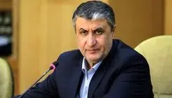 رئیس سازمان انرژی اتمی  راهی وین شد
