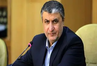 رئیس سازمان انرژی اتمی  راهی وین شد
