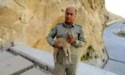 قاتل محیط‌بان بهبهان دستگیر شد