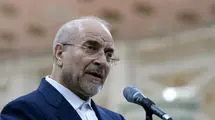 حجم صادرات و واردات از برزیل قابل دفاع نیست 
