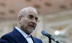 حجم صادرات و واردات از برزیل قابل دفاع نیست 