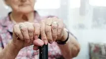 وقتی فضولی به کمک سالمندان می‌آید