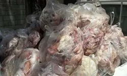 کشف انبار دپوی مرغ فاسد و مُرده در بندر انزلی