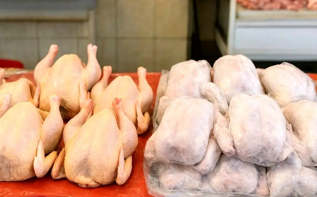 نبود نهاده دامی بازار مرغ را به هم ریخت + جزئیات