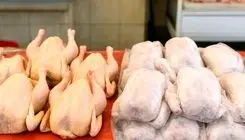 نبود نهاده دامی بازار مرغ را به هم ریخت + جزئیات