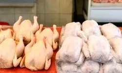 نبود نهاده دامی بازار مرغ را به هم ریخت + جزئیات