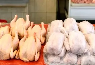 نبود نهاده دامی بازار مرغ را به هم ریخت + جزئیات