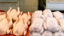 نبود نهاده دامی بازار مرغ را به هم ریخت + جزئیات