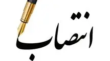 سرپرست صندوق ملی مسکن منصوب شد