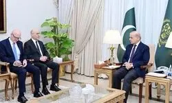 شهباز شریف تجاوزات رژیم صهیونیستی علیه لبنان را محکوم کرد