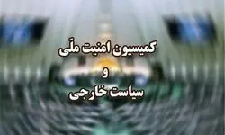 بررسی ماده مربوط به بیمه شناورهای عبوری از تنگه هرمز در کمیسیون امنیت ملی مجلس
