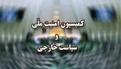 بررسی ماده مربوط به بیمه شناورهای عبوری از تنگه هرمز در کمیسیون امنیت ملی مجلس