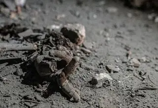 جزئیات شناسایی اجساد در جنگ؛ از اثر انگشت تا DNA دندان و استخوان
