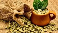 اعلام سقف ارزی قیمت جدید قهوه خام