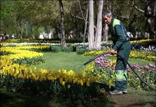 بحران آب تهران و خطر برای فضای سبز