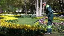 بحران آب تهران و خطر برای فضای سبز