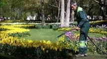 بحران آب تهران و خطر برای فضای سبز