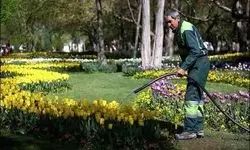 بحران آب تهران و خطر برای فضای سبز