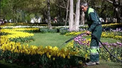 بحران آب تهران و خطر برای فضای سبز
