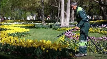بحران آب تهران و خطر برای فضای سبز
