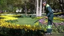بحران آب تهران و خطر برای فضای سبز