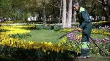 بحران آب تهران و خطر برای فضای سبز