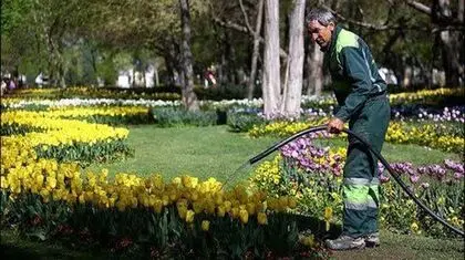 بحران آب تهران و خطر برای فضای سبز