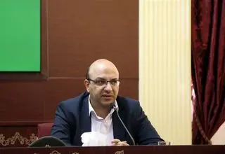 علی‌نژاد: با روش جدید برخی فدراسیون‌ها افزایش بودجه ندارند