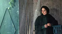 «در آغوش درخت» بهترین فیلم جشنواره کانادایی شد