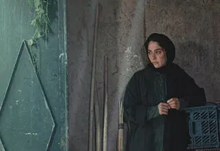 «در آغوش درخت» بهترین فیلم جشنواره کانادایی شد