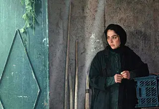 «در آغوش درخت» بهترین فیلم جشنواره کانادایی شد