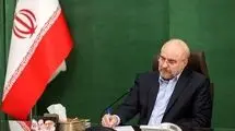 رئیس مجلس مصوبه گازوئیلی دولت را مغایر قانون دانست 