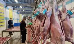 وزارت جهاد کشاورزی روند تولید و عرضه گوشت قرمز را رصد می‌کند