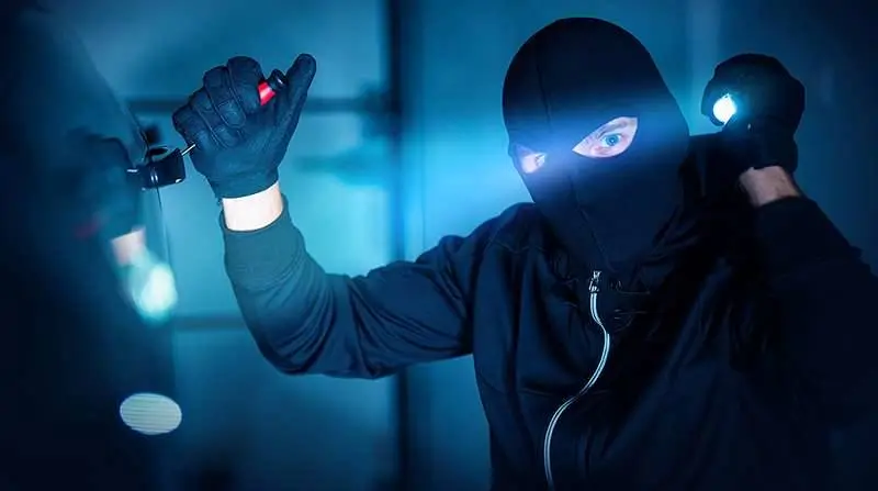 دستگیری سارق گوشوارۀ زنان تهرانی