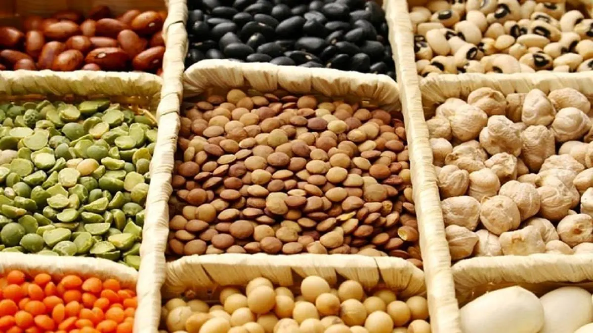 با تخصیص ارز و ترخیص از گمرک در ایام محرم کمبود حبوبات نخواهیم داشت