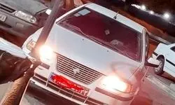 تشکیل پرونده قضایی برای عامل سگ گردانی با اتومبیل دولتی در بندرعباس