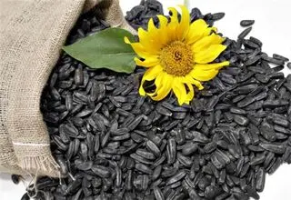 معرفی خوراکی کوچک و محبوب و ضامن سلامت استخوان‌ها