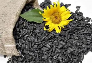 معرفی خوراکی کوچک و محبوب و ضامن سلامت استخوان‌ها