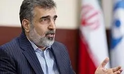 صدور قطعنامه‌های سیاسی علیه ایران به ضرر اعتبار آژانس بین‌المللی انرژی اتمی است 