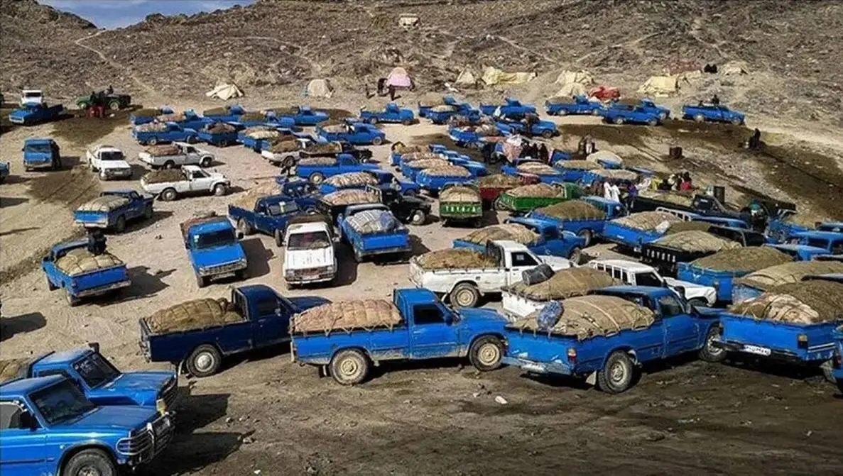 تبدیل پول قاچاق گازوئیل به انبه و لوازم خانگی