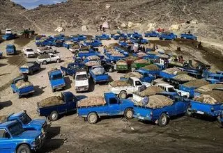 تبدیل پول قاچاق گازوئیل به انبه و لوازم خانگی