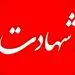 اسرائیل دانشمند هسته‌ای و همسرش را ترور کرد