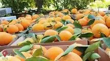  دعوای کارشناسان بر سر سلامت مرکبات رنگی