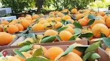  دعوای کارشناسان بر سر سلامت مرکبات رنگی