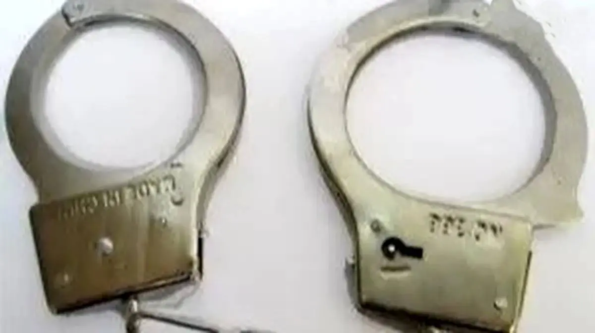 ربودن دختر ۴ ساله به دلیل دلتنگی مادرانه 