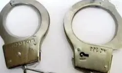 ربودن دختر ۴ ساله به دلیل دلتنگی مادرانه 