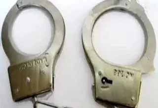 ربودن دختر ۴ ساله به دلیل دلتنگی مادرانه 