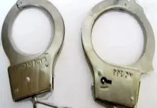 ربودن دختر ۴ ساله به دلیل دلتنگی مادرانه 